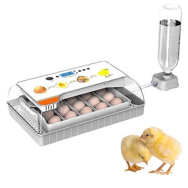 20 Home Egg Incubator – 20 Chicken / Duck Eggs (Pet Use) 2