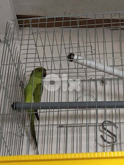 برج البراجنه عين سكه مقابل قرض الحسن