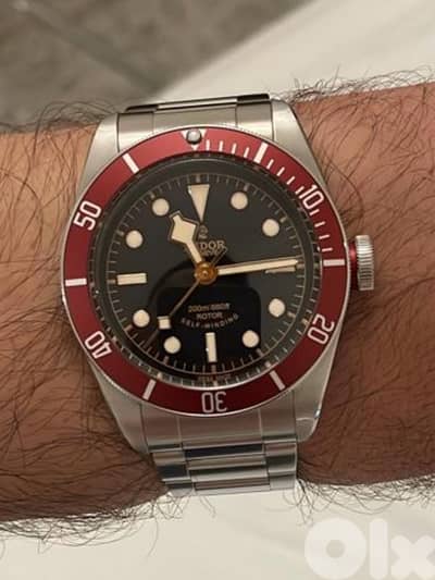 Tudor Watch - ETA rose logo