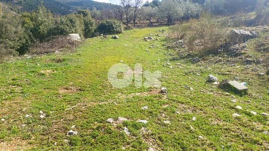 lands for sale in Assia  أرض رائعة ببلدة أسيا
