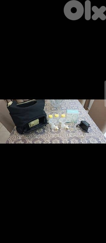Medela electric pumping