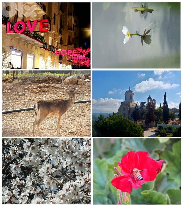 Fujifilm Finepix HS 35 EXR Camera كاميرا 4