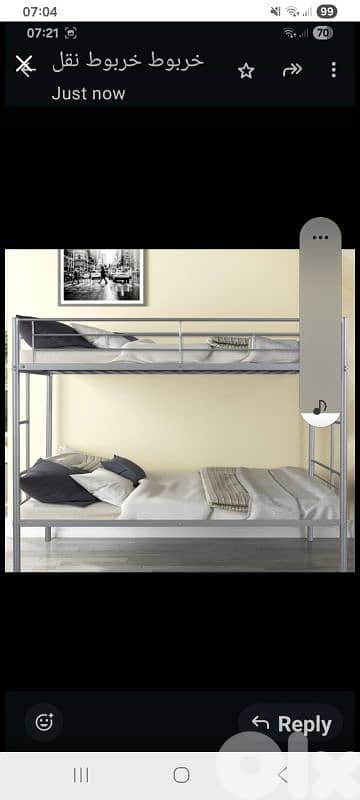 تخوتي اوروبي موجود كمية