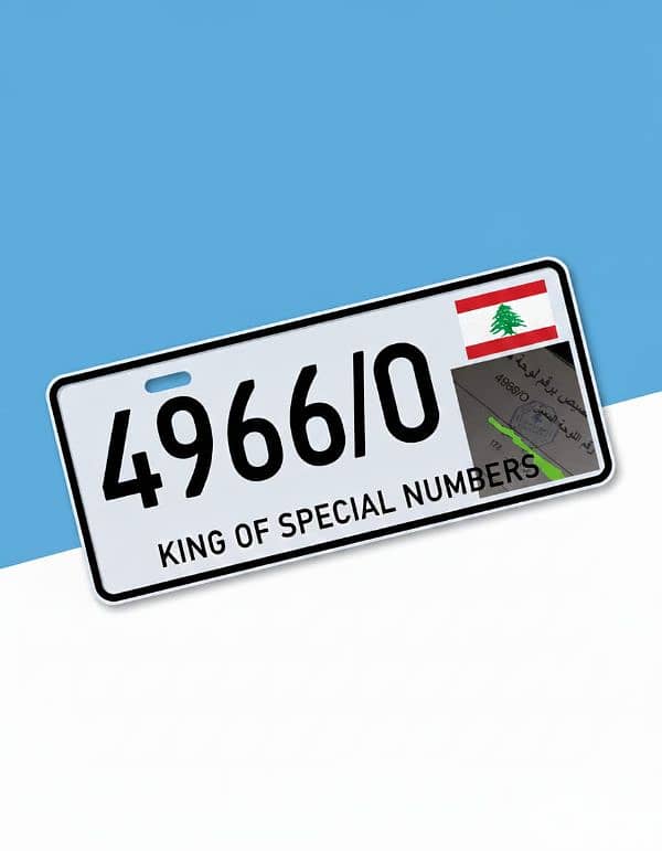 special plate numbers 3