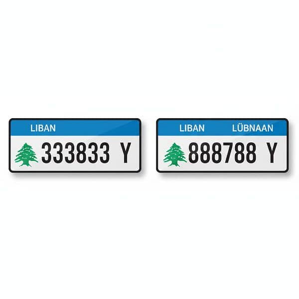 special plate numbers 5