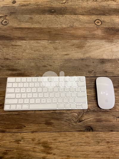 Appel keyboard and mouse for Mac