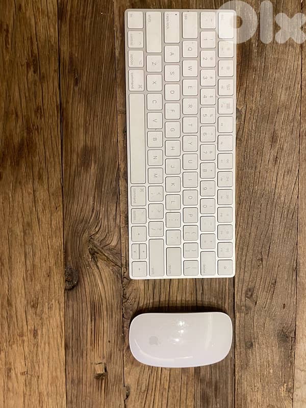 Appel keyboard and mouse for Mac 1