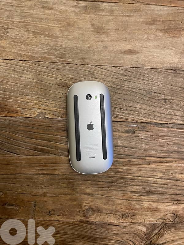 Apple mouse 1