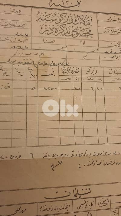 Othmanite Turkey document مستند عثماني تركي 1891
