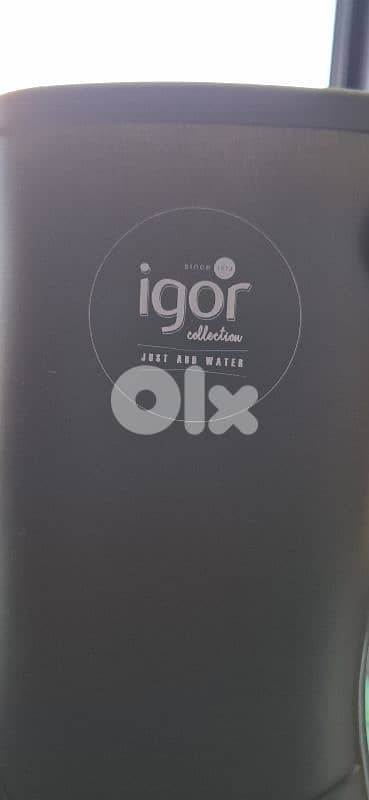 shoes brand igor very nice quality 2