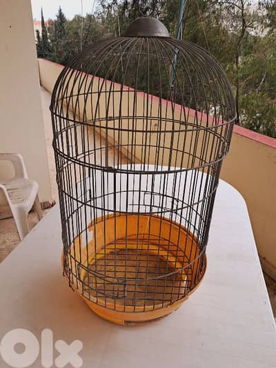 مدلل الطيور