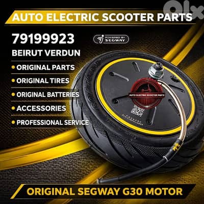 electric scooter orginal Segway g30 motor