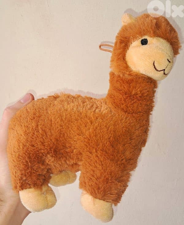 Huge Collection of Plushies Plush Toys ! 1
