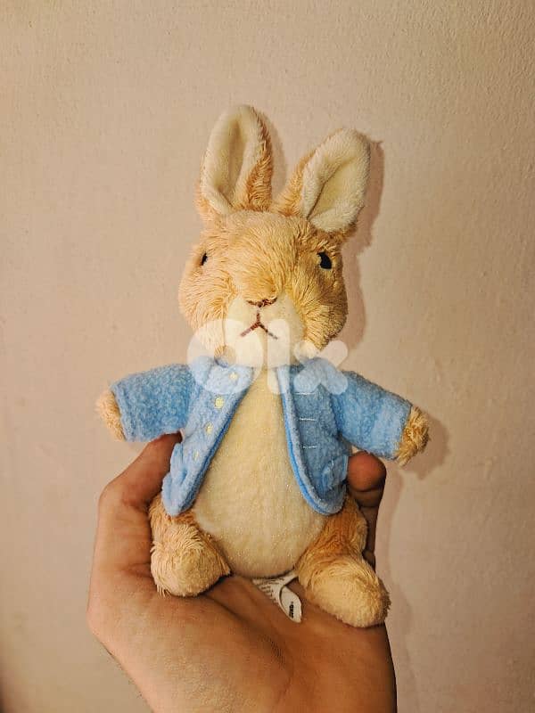 Huge Collection of Plushies Plush Toys ! 6
