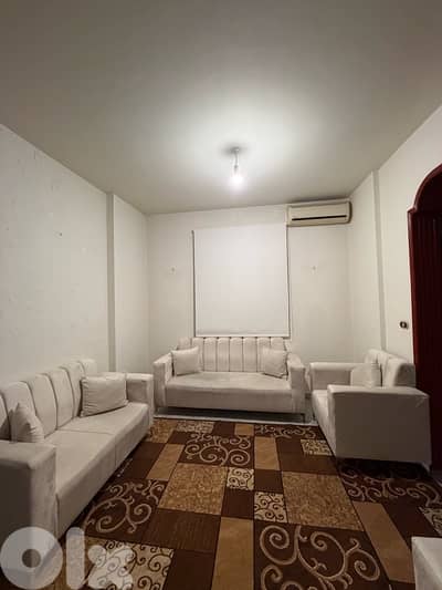 new salon greige sofas