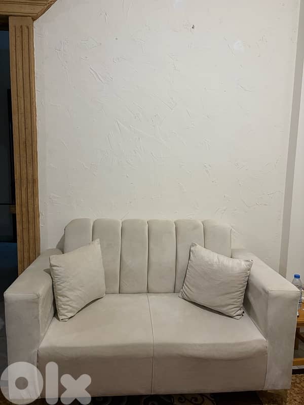 new salon greige sofas 2