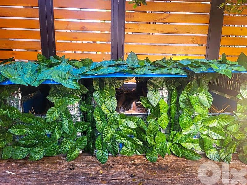 Outdoor Cat House Waterproof amazing idea !! 9