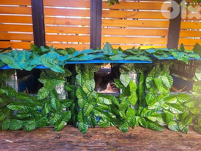 Outdoor Cat House Waterproof amazing idea !! 9