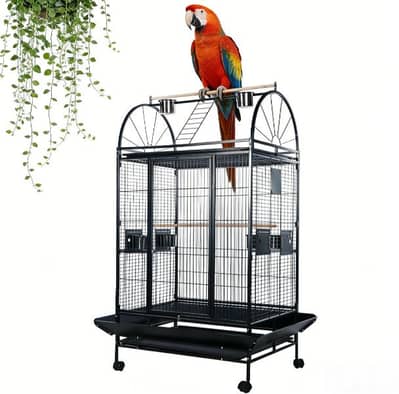 اقفاص ببغاء ٠٣٣٩٨٩٨٠