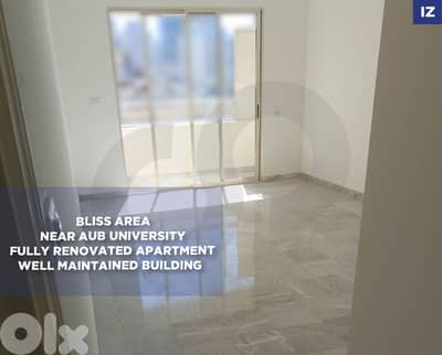 Fully renovated apartment Well maintained building- Bliss REF#IZ128112