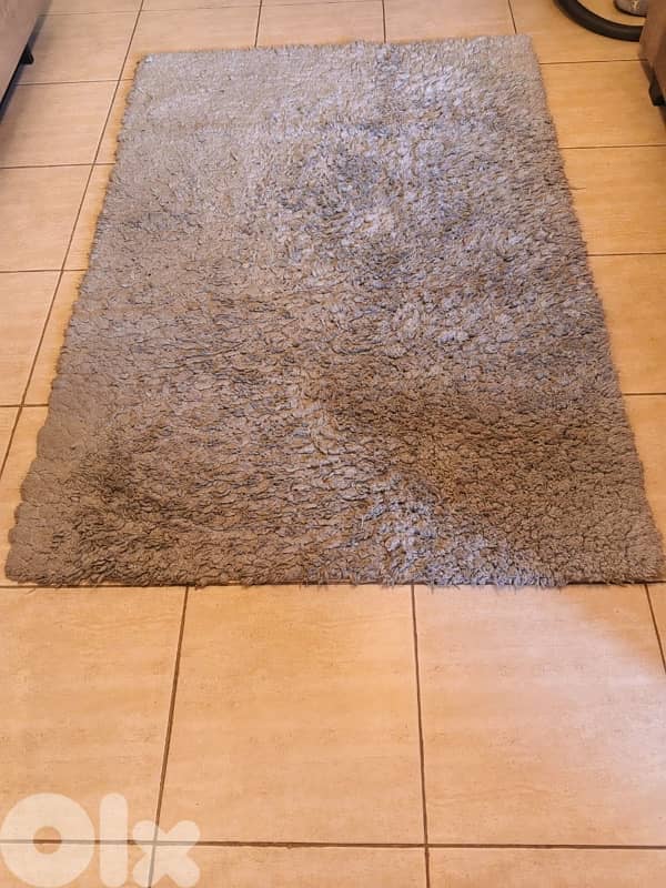 Carpet plus , Tapirama / Premium carpets 2