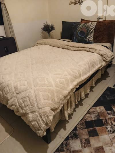 تخت مفرد و نص