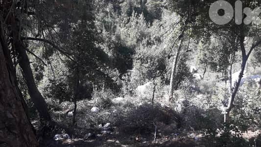 land for sale in baabdat Shalimar   أرض للبيع في بعبدات شاليمار