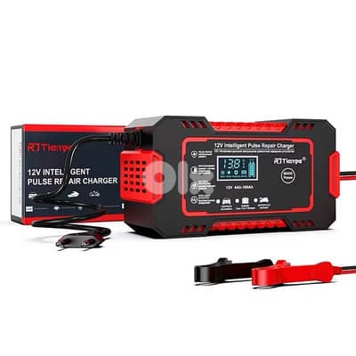 12V Intelligent Pulse Repair Charger