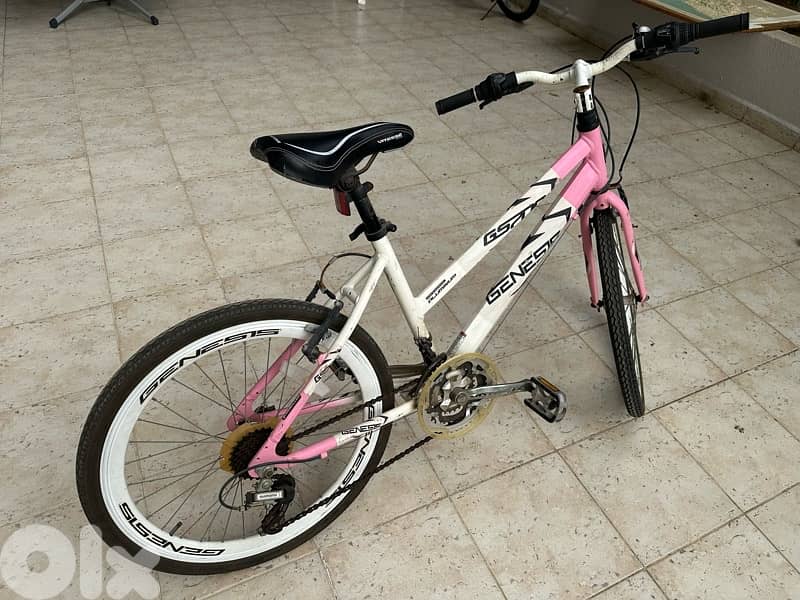 genesis gs700 bike 3