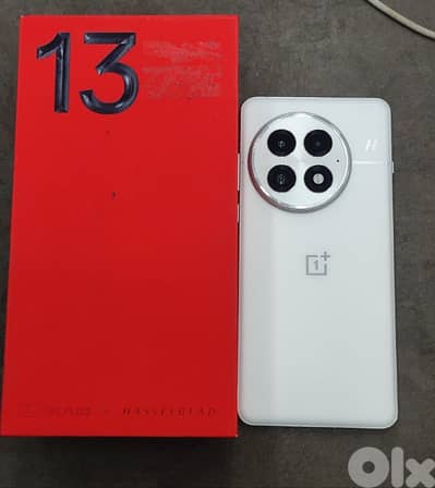 OnePlus 13