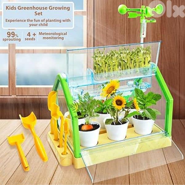 Diana's toys shop 78833236 2