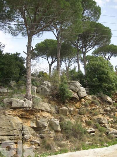 Land for sale in Broummana ouyoun