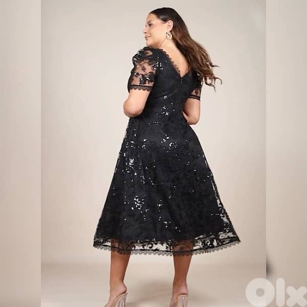 Around 300 Evening Dressess 16