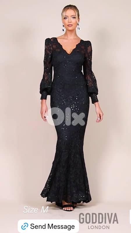 Around 300 Evening Dressess 18