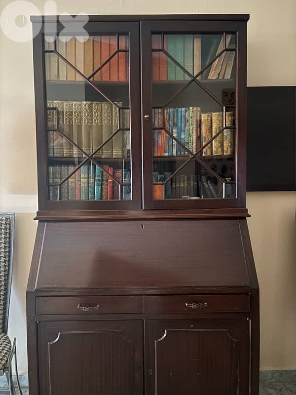library plus cabinet 1