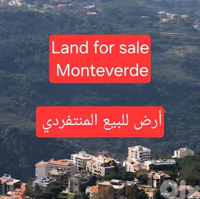 Land for sale Monteverde  أرض للبيع المنتفردي
