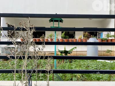 ground floor app in bchemon maderis