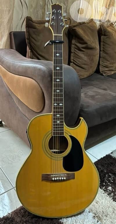 acoustic guitar