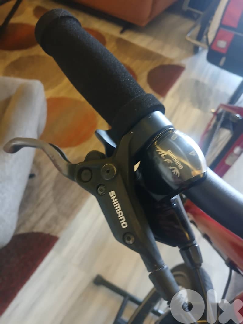 Giant bike with child trolley 2