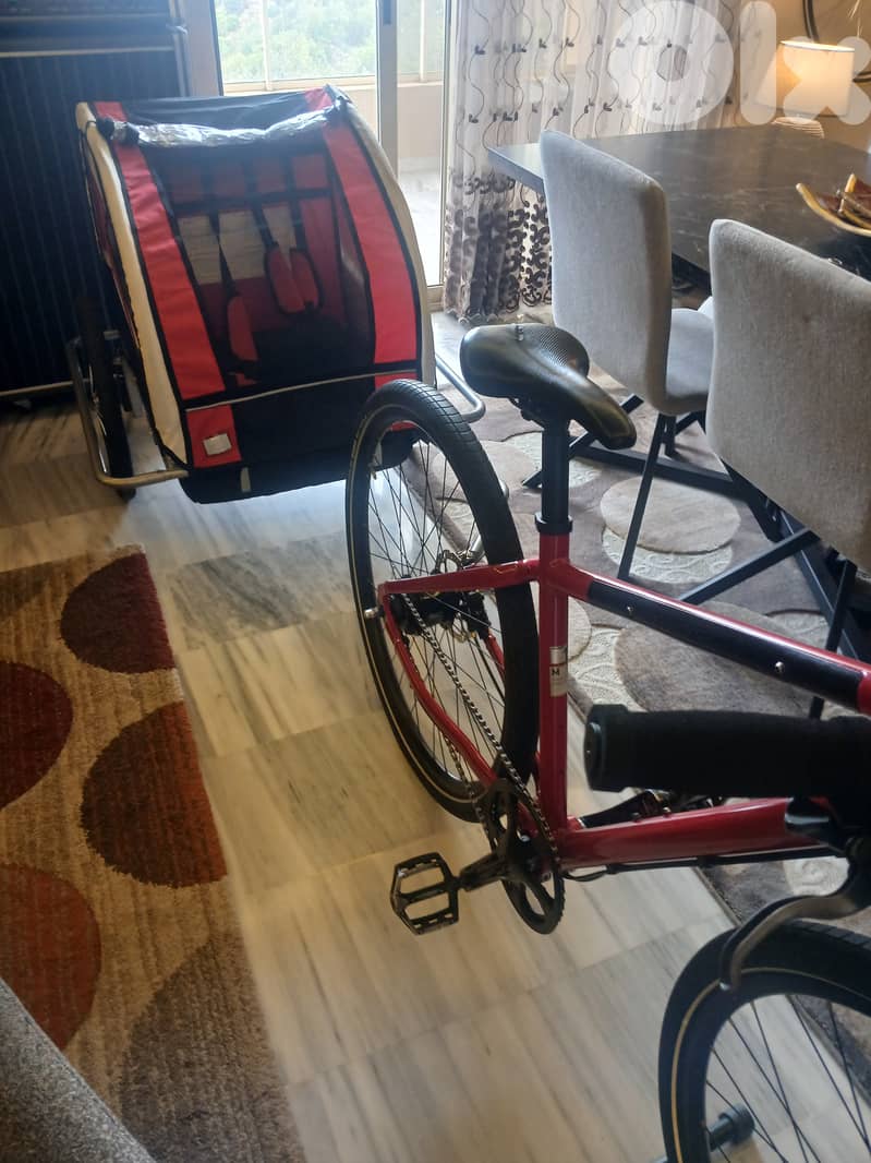 Giant bike with child trolley 4