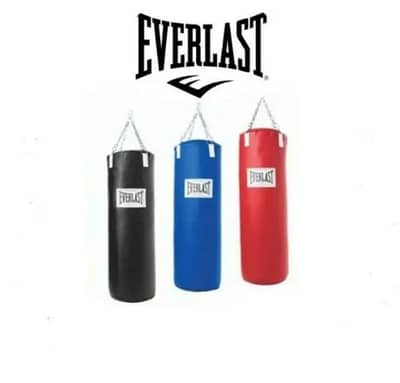 New Everlast Boxing Bag
