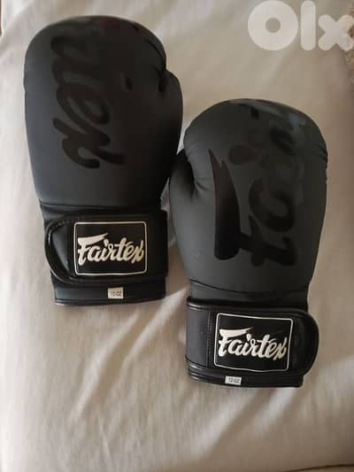 Fairtex boxing gloves.