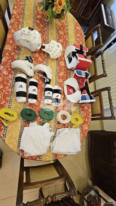 taekwondo protection gear