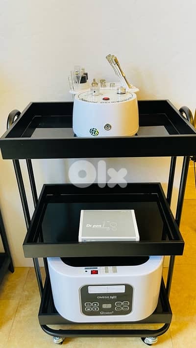 skin care facial machines with trolley 160$