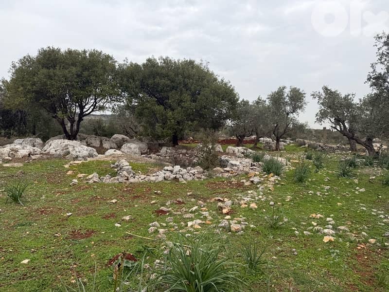 land for sale Bteram 6