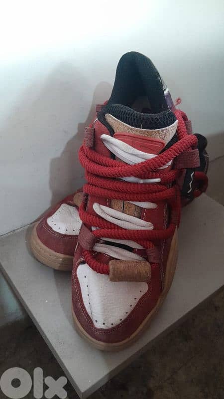 shoes brand cat & sofa 2