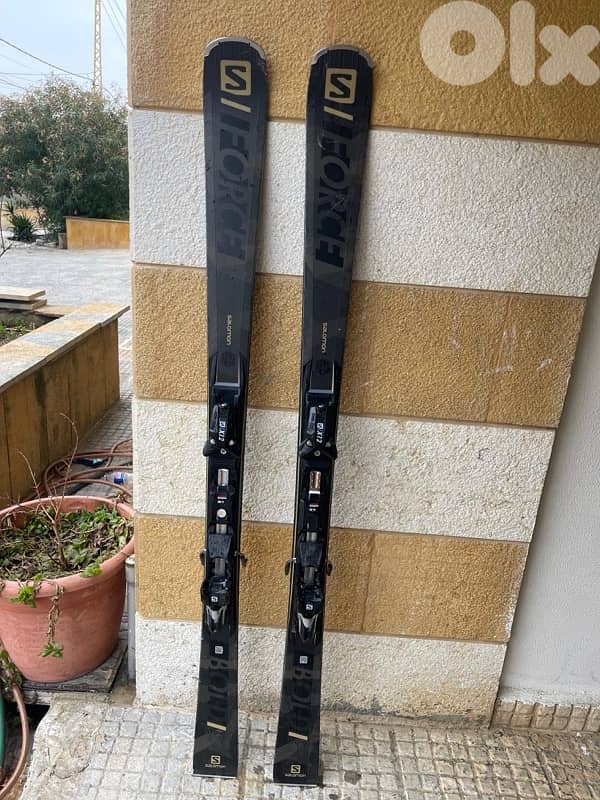 salomon skis 1