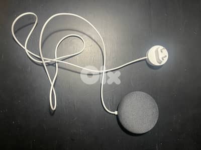 Smart Google speaker