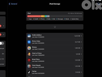 Apple Ipad pro (12.9 inch)