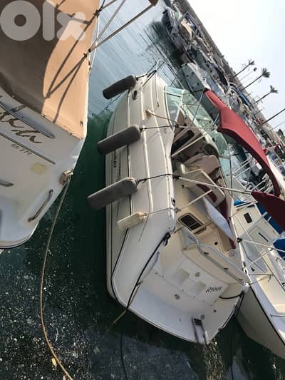 boat /yacht/ لانش / يخت